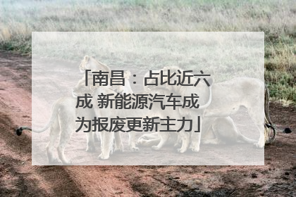 南昌：占比近六成 新能源汽车成为报废更新主力