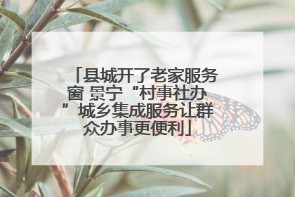 县城开了老家服务窗 景宁“村事社办”城乡集成服务让群众办事更便利