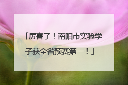 厉害了！南阳市实验学子获全省预赛第一！