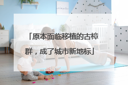 原本面临移植的古樟群，成了城市新地标