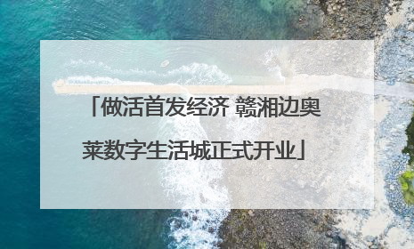 做活首发经济 赣湘边奥莱数字生活城正式开业