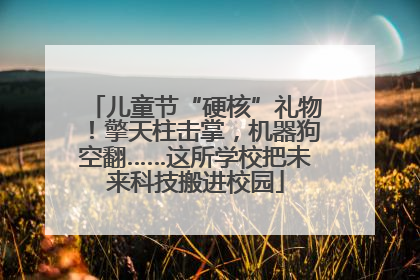 儿童节“硬核”礼物！擎天柱击掌，机器狗空翻……这所学校把未来科技搬进校园