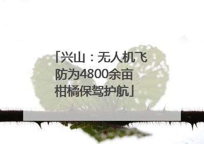 兴山：无人机飞防为4800余亩柑橘保驾护航