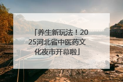 养生新玩法！2025河北省中医药文化夜市开幕啦