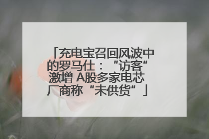 充电宝召回风波中的罗马仕：“访客”激增 A股多家电芯厂商称“未供货”