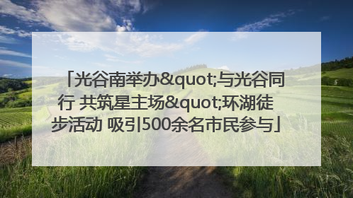 光谷南举办"与光谷同行 共筑星主场"环湖徒步活动 吸引500余名市民参与