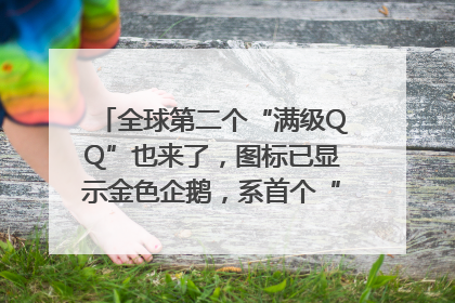 全球第二个“满级QQ”也来了，图标已显示金色企鹅，系首个“满级QQ”的小号
