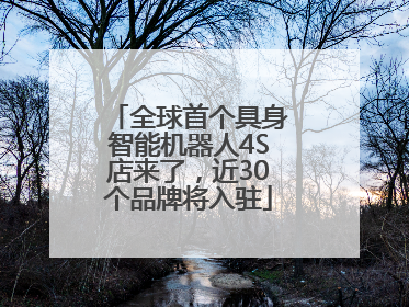 全球首个具身智能机器人4S店来了，近30个品牌将入驻