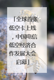 全球首张低空卡上线，中国电信低空经济合作发展大会启幕