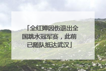 全红婵因伤退出全国跳水冠军赛，此前已随队抵达武汉