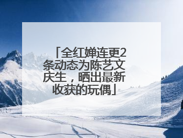 全红婵连更2条动态为陈艺文庆生，晒出最新收获的玩偶