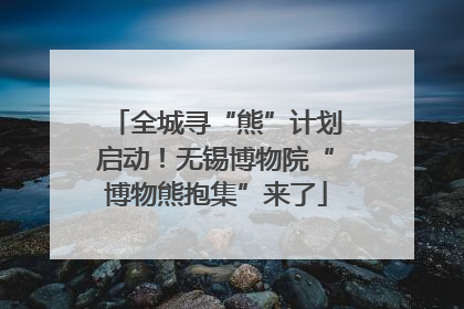 全城寻“熊”计划启动！无锡博物院“博物熊抱集”来了