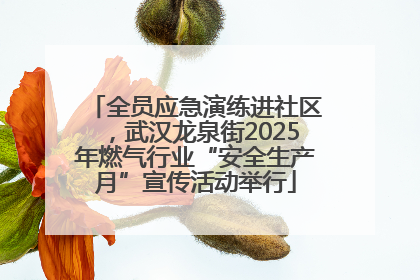 全员应急演练进社区，武汉龙泉街2025年燃气行业“安全生产月”宣传活动举行