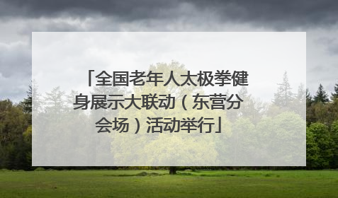 全国老年人太极拳健身展示大联动（东营分会场）活动举行