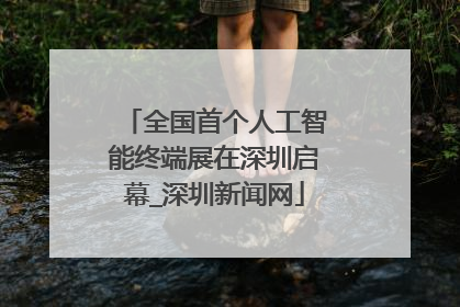 全国首个人工智能终端展在深圳启幕_深圳新闻网
