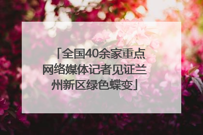 全国40余家重点网络媒体记者见证兰州新区绿色蝶变