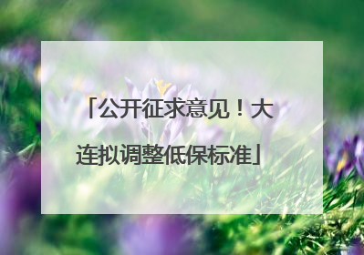 公开征求意见！大连拟调整低保标准