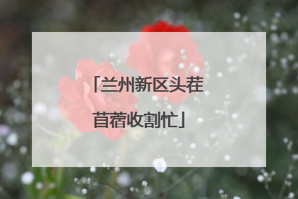 兰州新区头茬苜蓿收割忙