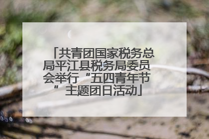 共青团国家税务总局平江县税务局委员会举行“五四青年节”主题团日活动
