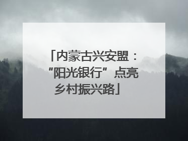 内蒙古兴安盟：“阳光银行”点亮乡村振兴路