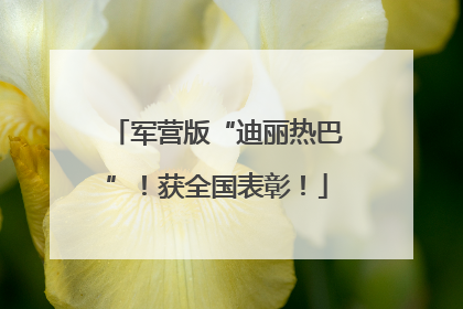 军营版“迪丽热巴”！获全国表彰！