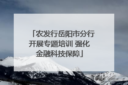 农发行岳阳市分行开展专题培训 强化金融科技保障