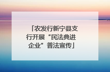 农发行新宁县支行开展“民法典进企业”普法宣传