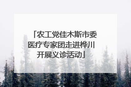 农工党佳木斯市委医疗专家团走进桦川开展义诊活动