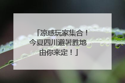 凉感玩家集合！今夏四川避暑胜地由你来定！