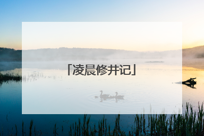 凌晨修井记