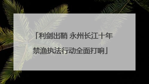 利剑出鞘 永州长江十年禁渔执法行动全面打响