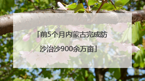 前5个月内蒙古完成防沙治沙900余万亩