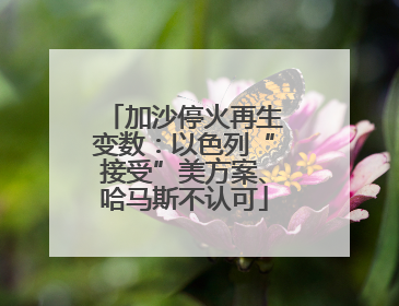 加沙停火再生变数：以色列“接受”美方案、哈马斯不认可