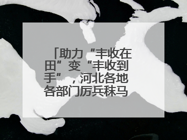 助力“丰收在田”变“丰收到手”，河北各地各部门厉兵秣马迎战“三夏”