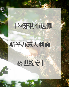 匈牙利布达佩斯举办意大利面桥世锦赛