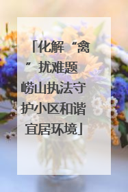 化解“禽”扰难题 崂山执法守护小区和谐宜居环境