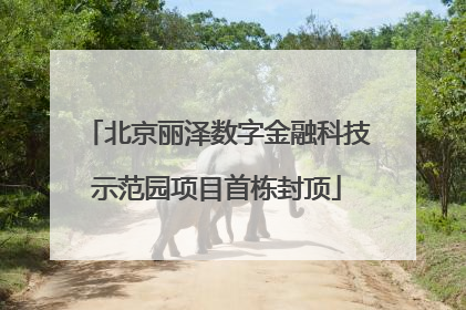 北京丽泽数字金融科技示范园项目首栋封顶