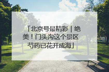 北京号最精彩｜绝美！门头沟这个景区芍药已花开成海