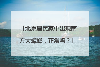 北京居民家中出现南方大蟑螂，正常吗？