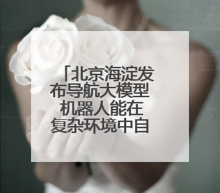 北京海淀发布导航大模型 机器人能在复杂环境中自主导航