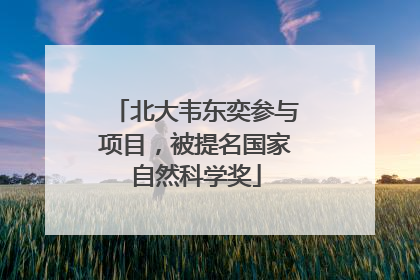 北大韦东奕参与项目，被提名国家自然科学奖