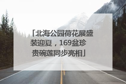 北海公园荷花展盛装迎夏，169盆珍贵碗莲同步亮相