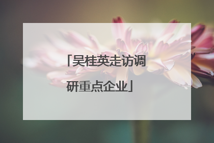 吴桂英走访调研重点企业