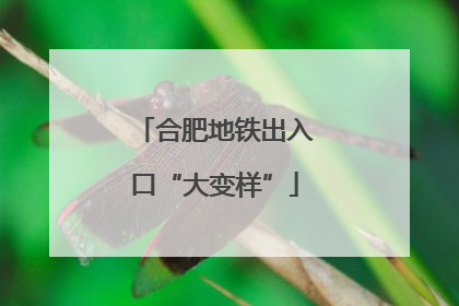 合肥地铁出入口“大变样”