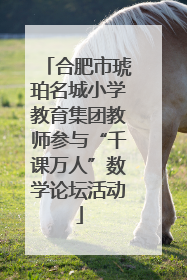 合肥市琥珀名城小学教育集团教师参与“千课万人”数学论坛活动