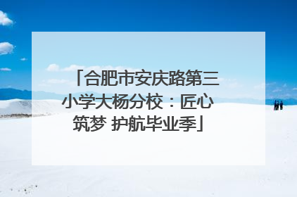 合肥市安庆路第三小学大杨分校：匠心筑梦 护航毕业季