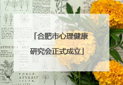 合肥市心理健康研究会正式成立