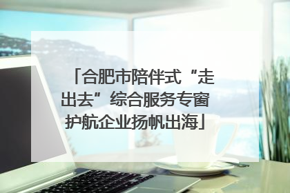 合肥市陪伴式“走出去”综合服务专窗护航企业扬帆出海