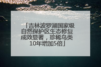 吉林波罗湖国家级自然保护区生态修复成效显著，珍稀鸟类10年增加5倍