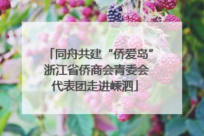 同舟共建“侨爱岛” 浙江省侨商会青委会代表团走进嵊泗